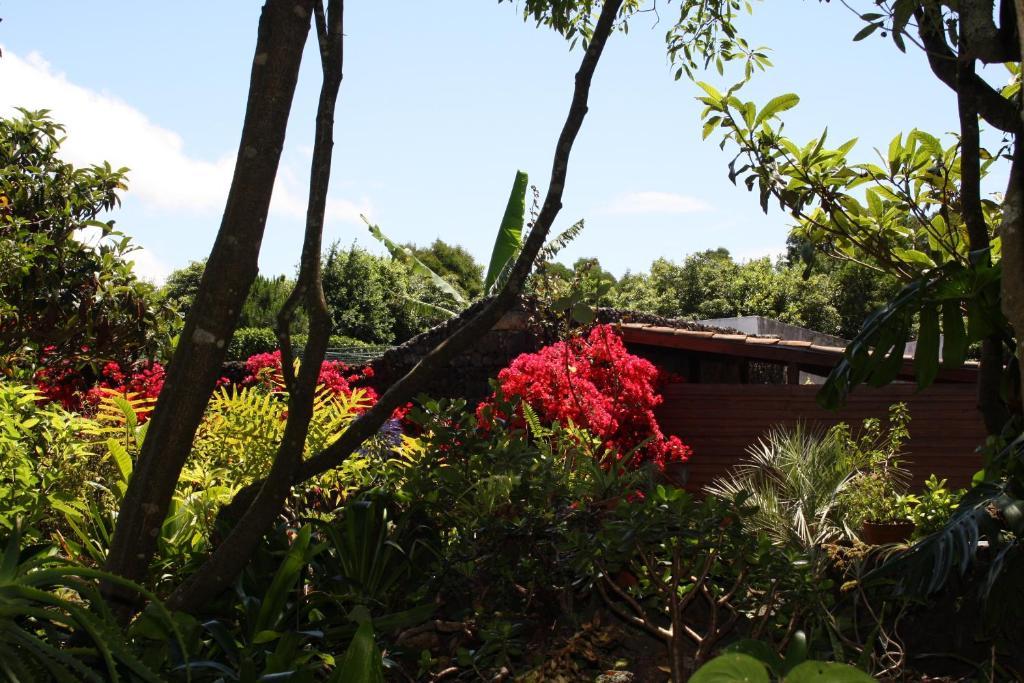Quinta De Sao Caetano - Sao Miguel Acores Populo  Ngoại thất bức ảnh