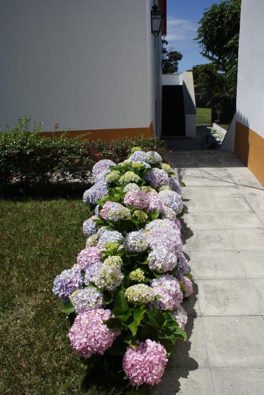 Quinta De Sao Caetano - Sao Miguel Acores Populo  Phòng bức ảnh