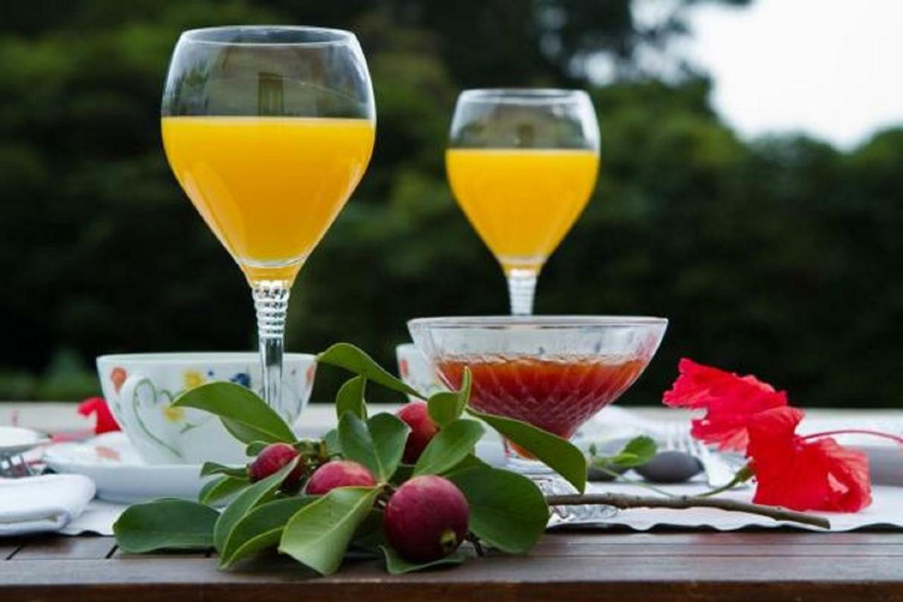 Quinta De Sao Caetano - Sao Miguel Acores Populo  Ngoại thất bức ảnh